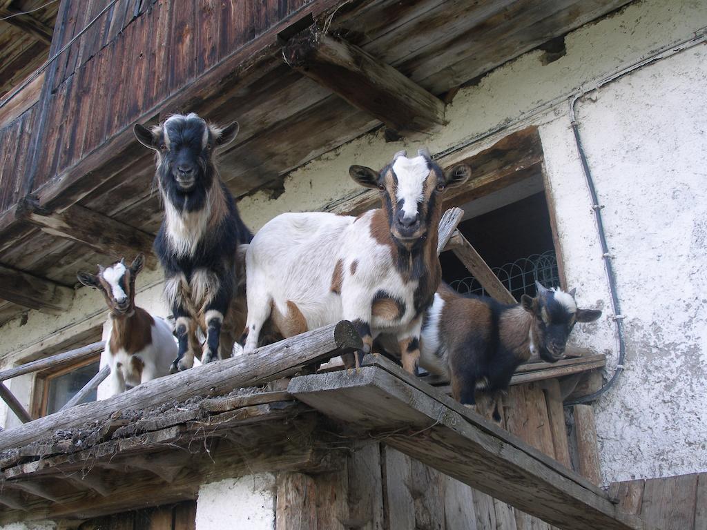 Oberschoellberghof ลูตาโก ภายนอก รูปภาพ